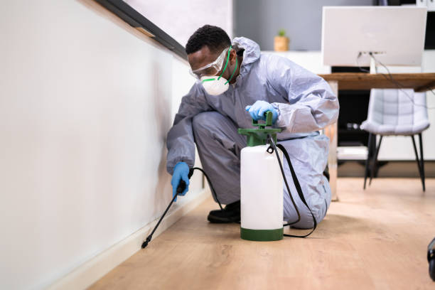 Best Pest Control for Multi-Family Homes  in Minster, OH